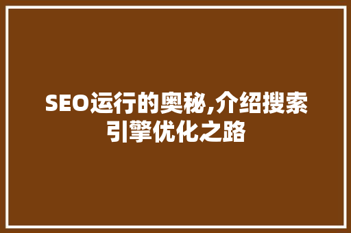 SEO运行的奥秘,介绍搜索引擎优化之路  第1张