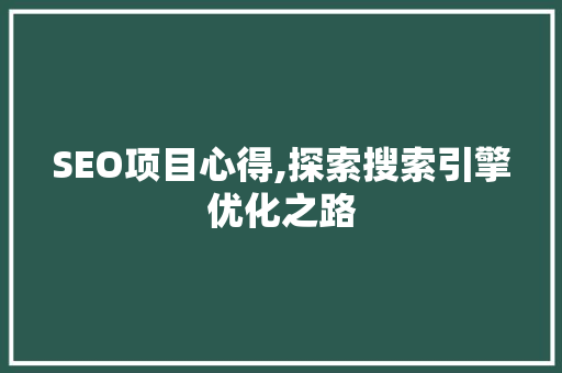 SEO项目心得,探索搜索引擎优化之路
