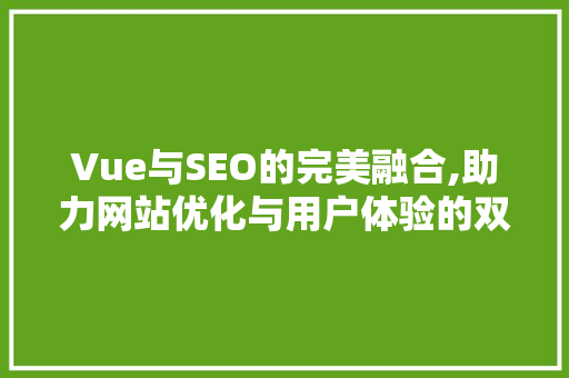 Vue与SEO的完美融合,助力网站优化与用户体验的双重提升
