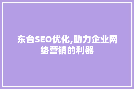 东台SEO优化,助力企业网络营销的利器