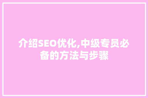介绍SEO优化,中级专员必备的方法与步骤