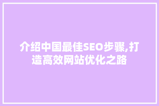 介绍中国最佳SEO步骤,打造高效网站优化之路