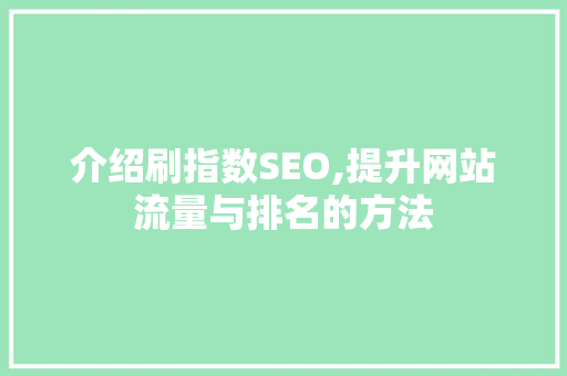 介绍刷指数SEO,提升网站流量与排名的方法