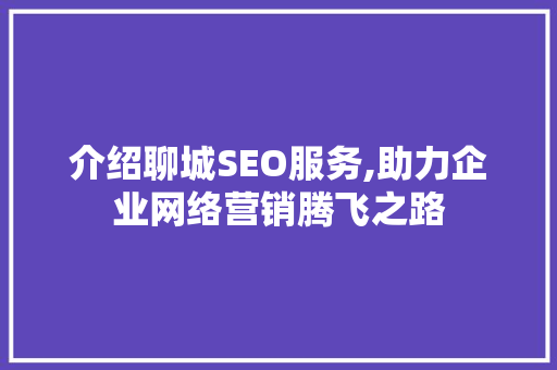 介绍聊城SEO服务,助力企业网络营销腾飞之路