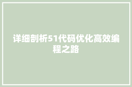 详细剖析51代码优化高效编程之路