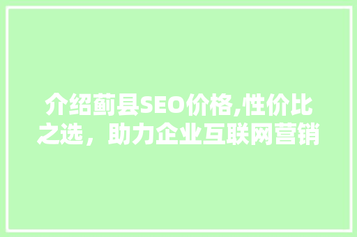 介绍蓟县SEO价格,性价比之选，助力企业互联网营销
