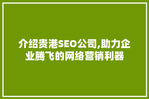 介绍贵港SEO公司,助力企业腾飞的网络营销利器