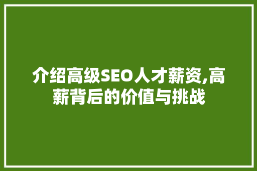 介绍高级SEO人才薪资,高薪背后的价值与挑战