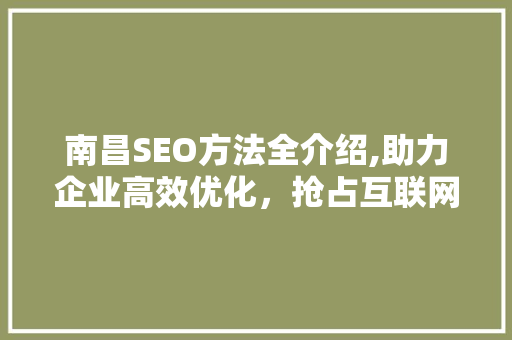 南昌SEO方法全介绍,助力企业高效优化，抢占互联网市场先机