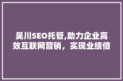 吴川SEO托管,助力企业高效互联网营销，实现业绩倍增