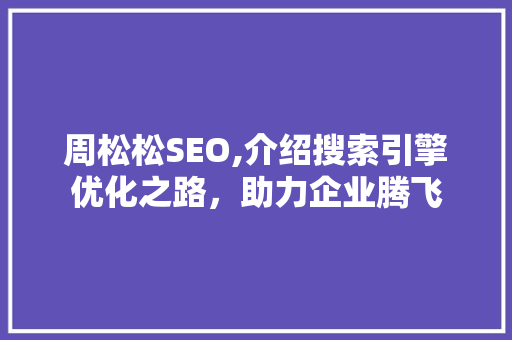 周松松SEO,介绍搜索引擎优化之路，助力企业腾飞