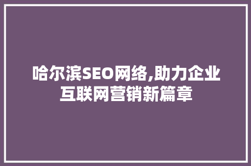 哈尔滨SEO网络,助力企业互联网营销新篇章