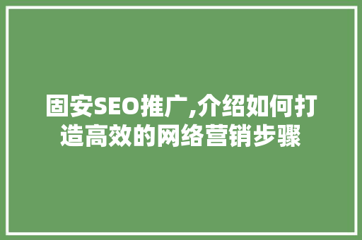 固安SEO推广,介绍如何打造高效的网络营销步骤