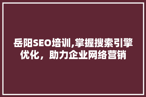 岳阳SEO培训,掌握搜索引擎优化，助力企业网络营销