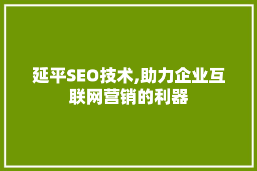 延平SEO技术,助力企业互联网营销的利器