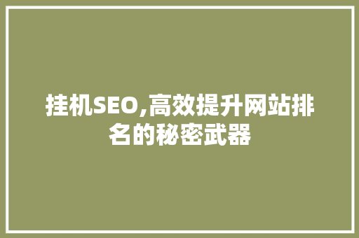 挂机SEO,高效提升网站排名的秘密武器