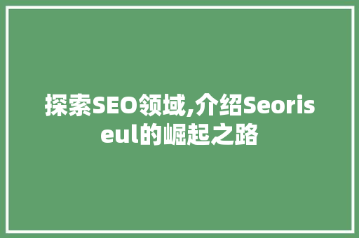 探索SEO领域,介绍Seoriseul的崛起之路