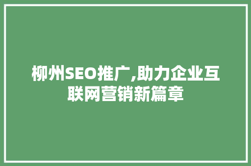 柳州SEO推广,助力企业互联网营销新篇章