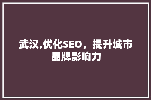 武汉,优化SEO，提升城市品牌影响力