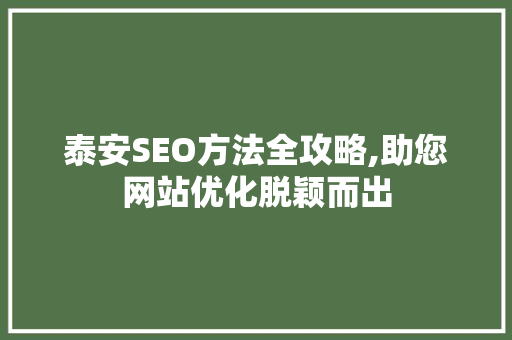 泰安SEO方法全攻略,助您网站优化脱颖而出