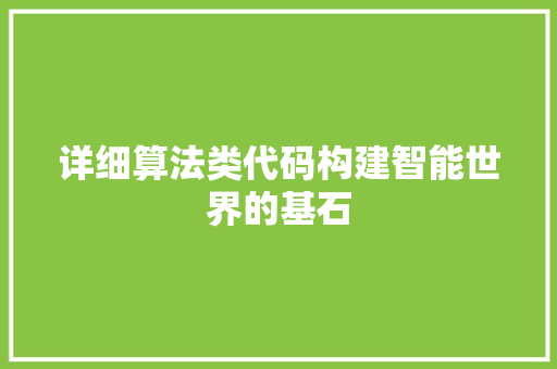 详细算法类代码构建智能世界的基石