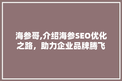 海参哥,介绍海参SEO优化之路，助力企业品牌腾飞