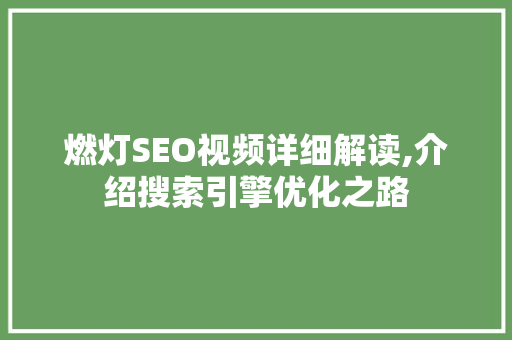 燃灯SEO视频详细解读,介绍搜索引擎优化之路