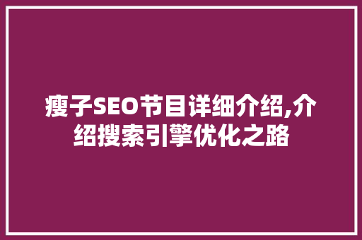 瘦子SEO节目详细介绍,介绍搜索引擎优化之路