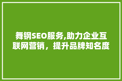 舞钢SEO服务,助力企业互联网营销，提升品牌知名度