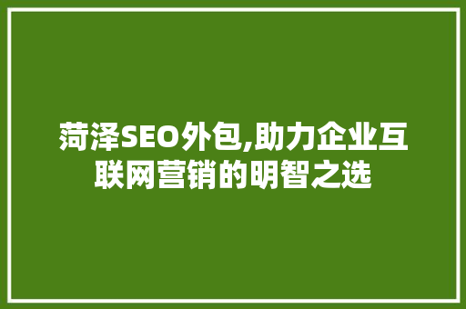 菏泽SEO外包,助力企业互联网营销的明智之选