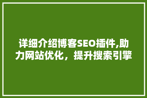详细介绍博客SEO插件,助力网站优化，提升搜索引擎排名