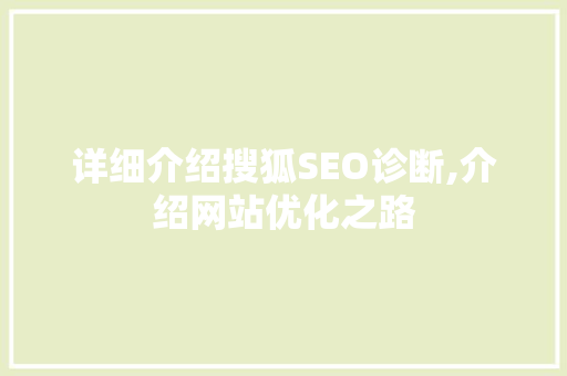 详细介绍搜狐SEO诊断,介绍网站优化之路