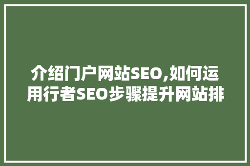 介绍门户网站SEO,如何运用行者SEO步骤提升网站排名