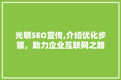 光明SEO宣传,介绍优化步骤，助力企业互联网之路
