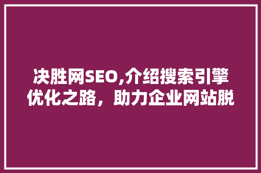 决胜网SEO,介绍搜索引擎优化之路，助力企业网站脱颖而出