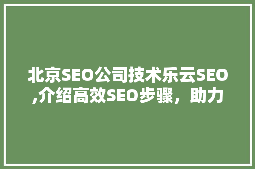 北京SEO公司技术乐云SEO,介绍高效SEO步骤，助力企业互联网营销