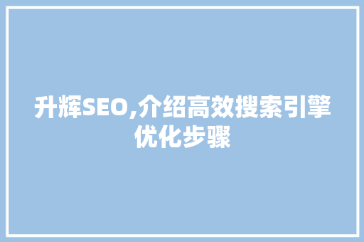 升辉SEO,介绍高效搜索引擎优化步骤