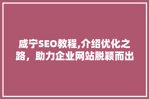 咸宁SEO教程,介绍优化之路，助力企业网站脱颖而出  第1张