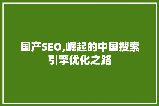国产SEO,崛起的中国搜索引擎优化之路