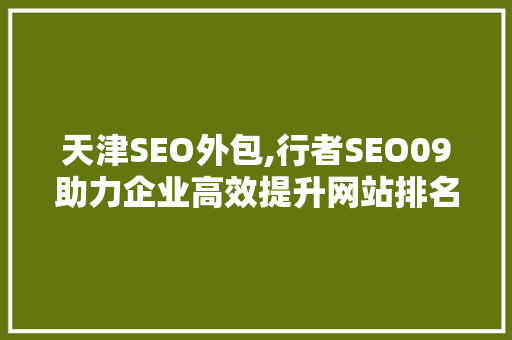 天津SEO外包,行者SEO09助力企业高效提升网站排名