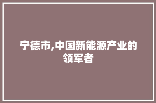 宁德市,中国新能源产业的领军者