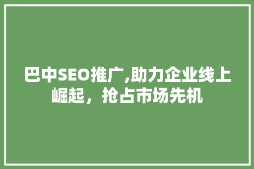 巴中SEO推广,助力企业线上崛起，抢占市场先机