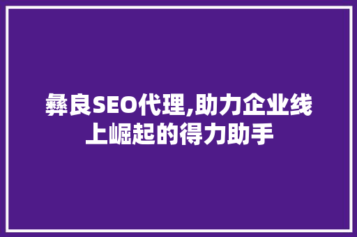 彝良SEO代理,助力企业线上崛起的得力助手