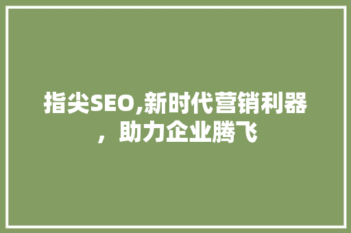 指尖SEO,新时代营销利器，助力企业腾飞
