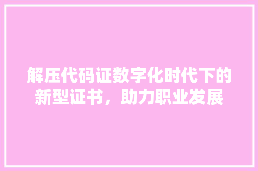 解压代码证数字化时代下的新型证书，助力职业发展