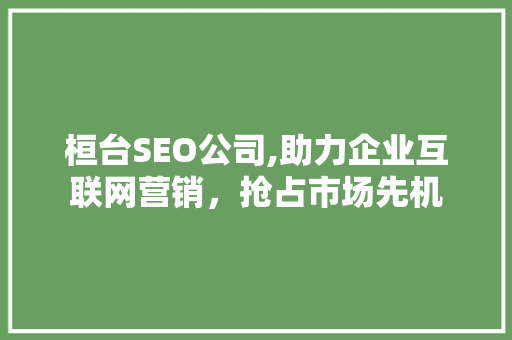 桓台SEO公司,助力企业互联网营销，抢占市场先机