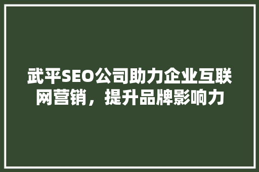 武平SEO公司助力企业互联网营销，提升品牌影响力