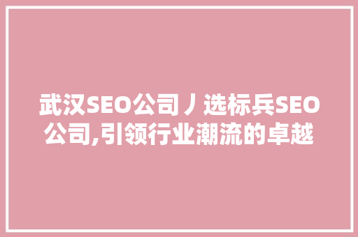 武汉SEO公司丿选标兵SEO公司,引领行业潮流的卓越之选  第1张