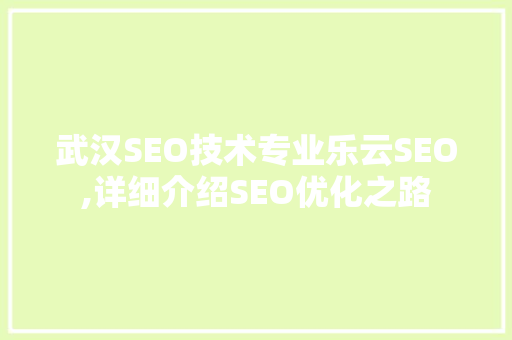 武汉SEO技术专业乐云SEO,详细介绍SEO优化之路