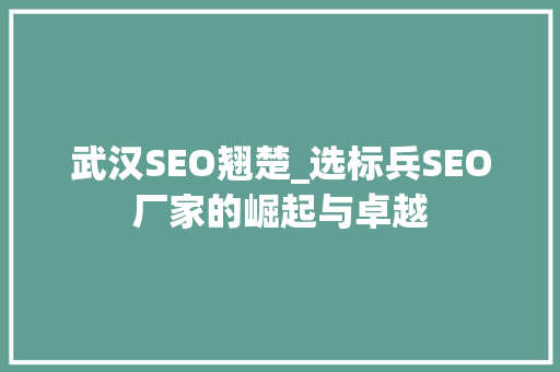 武汉SEO翘楚_选标兵SEO厂家的崛起与卓越